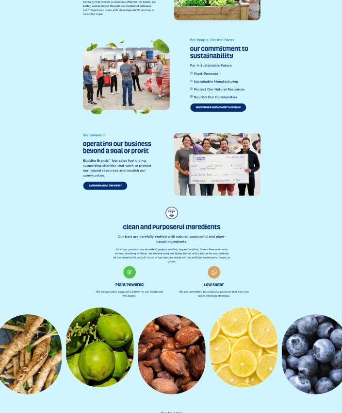 custom-website-design-company-buddha-brands-full-3 buddha brands website screenshot