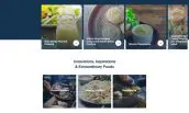 custom-website-design-company-ventura-foods-full-2 ventura website screenshot