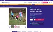 digital-silk-custom-website-design-company-absolute-dogs-full-2 Absolute Dogs product screenshot