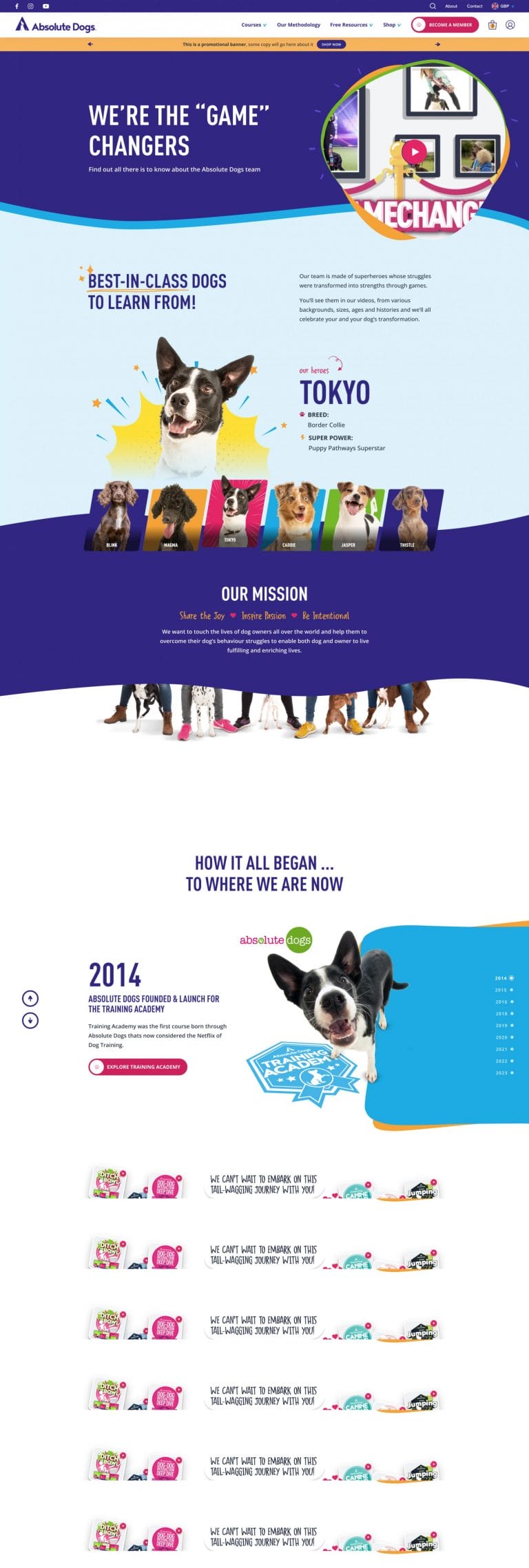 digital-silk-custom-website-design-company-absolute-dogs-full-5 Absolute Dogs about screenshot